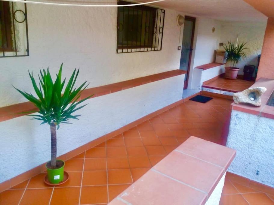 帕劳Casa A 2 Passi Dalla Spiaggia公寓 外观 照片